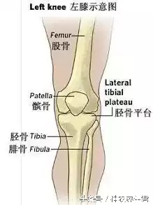 十大常见运动损伤部位及防治,运动损伤最容易出现部位
