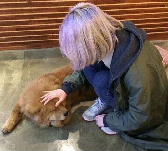 齐肩短发最流行的款,齐肩短发怎么样造型比较好看