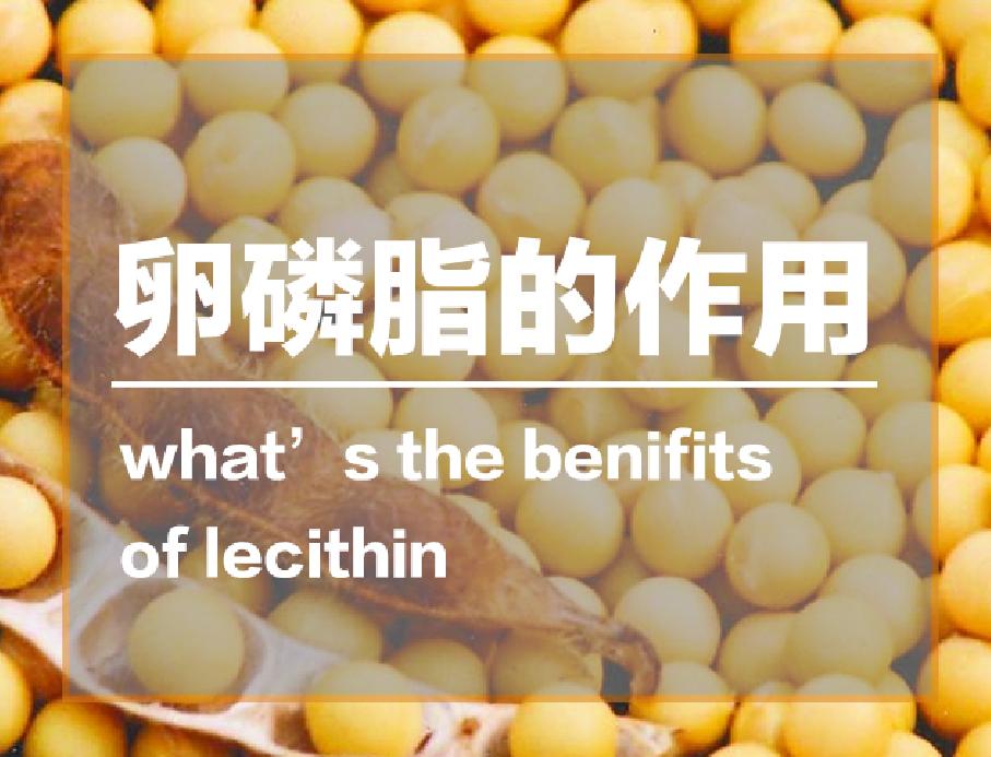 吃卵磷脂的好处和坏处是什么 (药用卵磷脂和保健卵磷脂有啥区别)