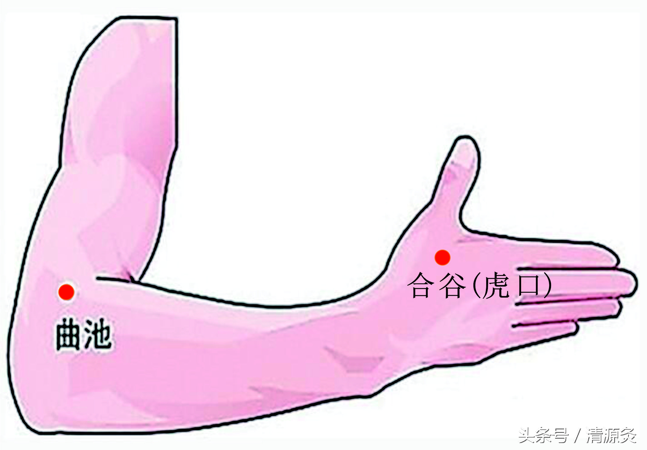 预防感冒神器,治感冒成年人神器