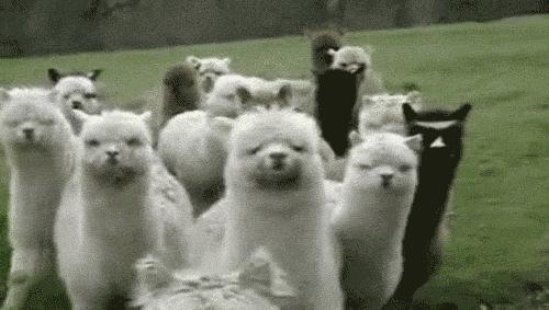 10万元在各国都能买什么,美国700万可以买什么