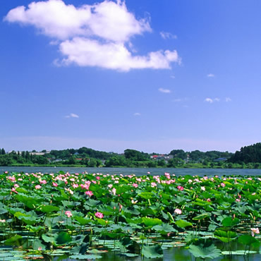 京津冀附近旅游景点推荐,京津冀旅游攻略景点