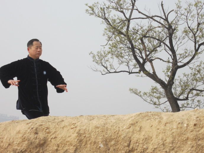 河南的拳种有哪些,河南三大拳