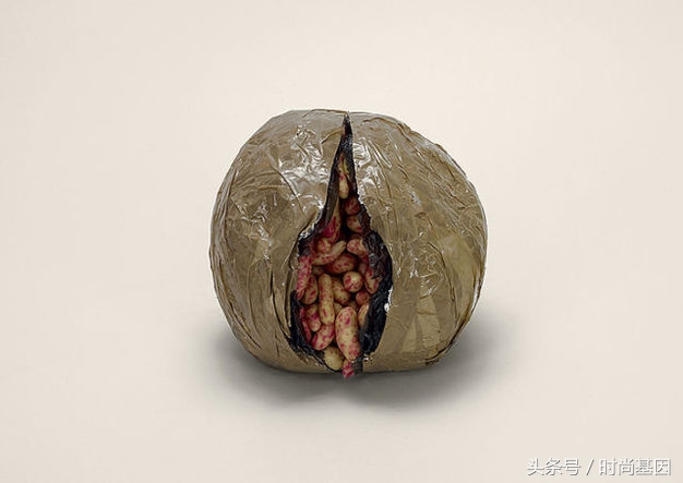 禁止食品进入的法律规定,禁止带入美国的中草药