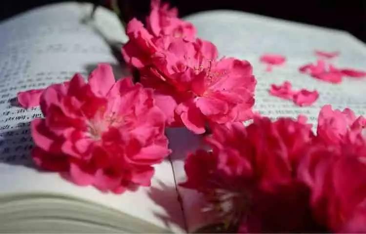 教师节快乐老师你辛苦了,教师节快乐老师您辛苦了