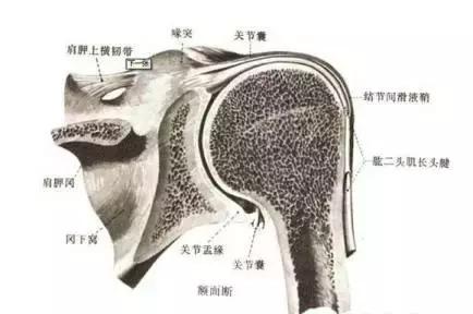 013医院,肩膀病怎么治疗最快最有效