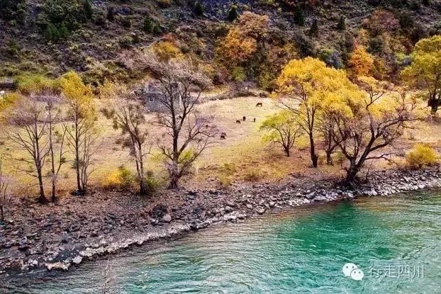 四川景点必去十大景点五月,四川5-6月最美的地方