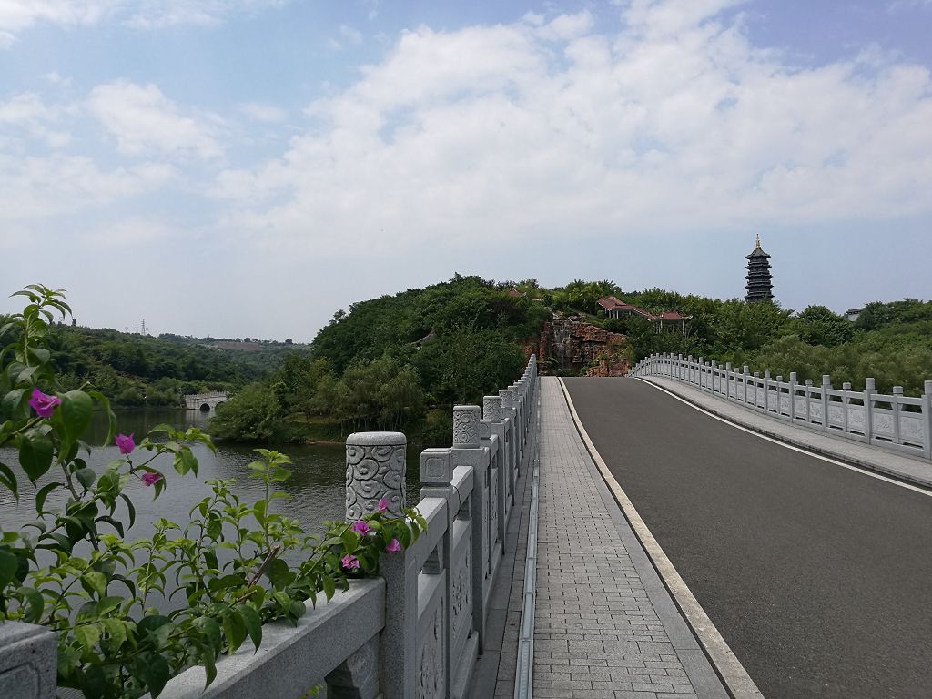 荣耀的旗舰系列,荣耀的旗舰手机