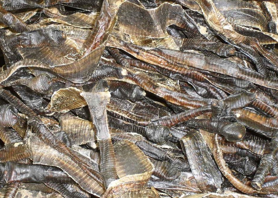 治颈椎病的手工膏药,专治颈椎病疼痛中草药药方