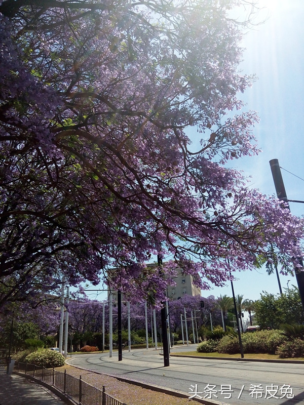 西班牙塞维利亚的西班牙广场,西班牙塞维利亚的风景