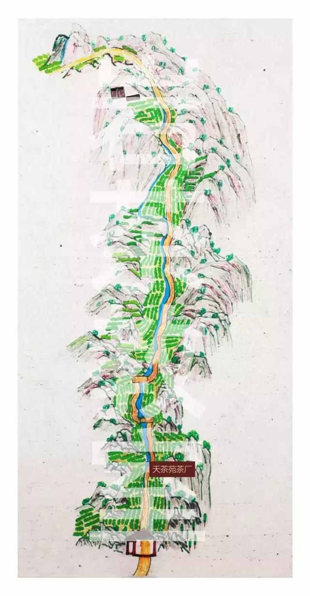 山场主人岩茶价格,山场主人岩茶