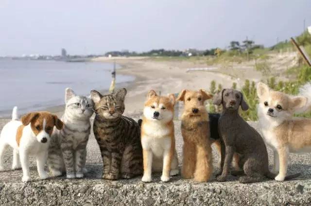 在日本买到假货,日本假货最新处理方法