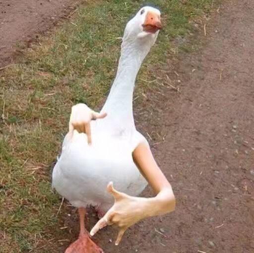 平民爽肤水,贵妇级最好用的爽肤水