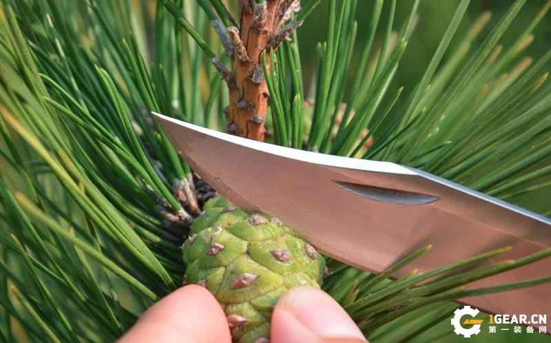 巴克110折刀评测,buck刀测评