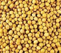 过敏体质忌口食物一览表,食物过敏知识讲座