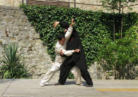 河南的拳,河南有什么拳