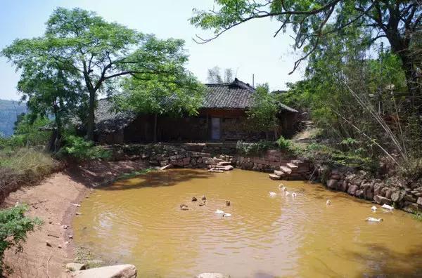 成都附近的旅游景点推荐四姑娘山,距成都五个多小时的地方