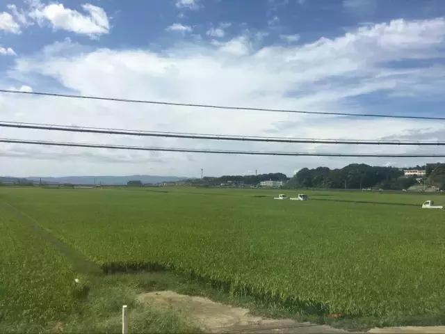 邮*攻轮**略：另一种超腐败超省心度假方式