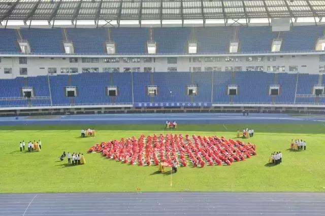 五校同心创佳绩集团谱写新篇章