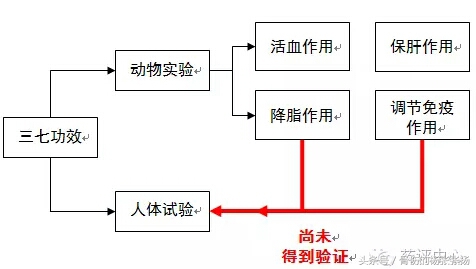 三七粉真的没作用吗,三七粉有什么病的不能吃