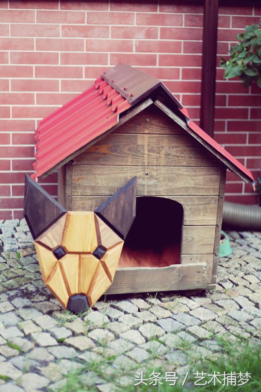 铲屎官宠物用品,铲屎官们给你的宠物准备了吗