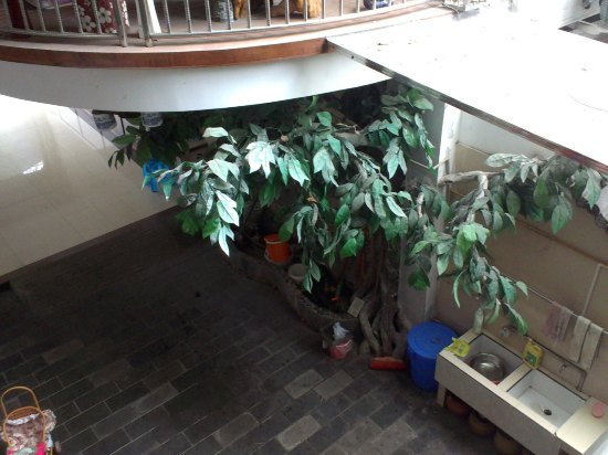 都江堰景区民宿住宿酒店推荐,都江堰最好的民宿酒店