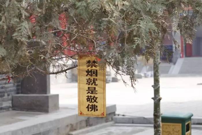 太原崇善寺：所藏碛砂藏本的独特价值（上）