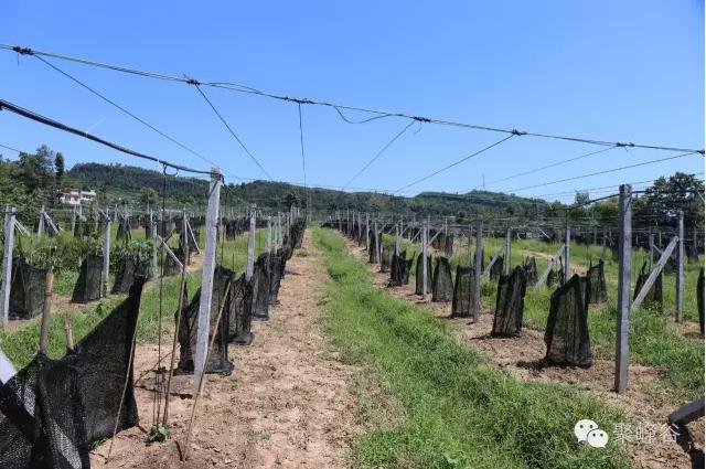 离金堂县150公里左右的景点,成都周边旅游景点大全金堂