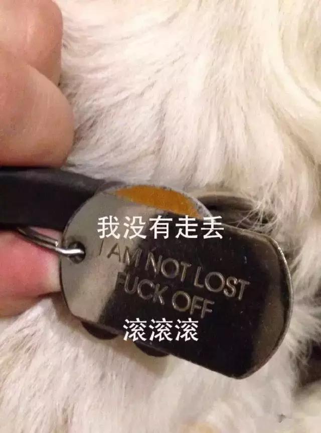 女朋友痛经男朋友说多喝热水,女朋友痛经痛到想吐我该说些什么