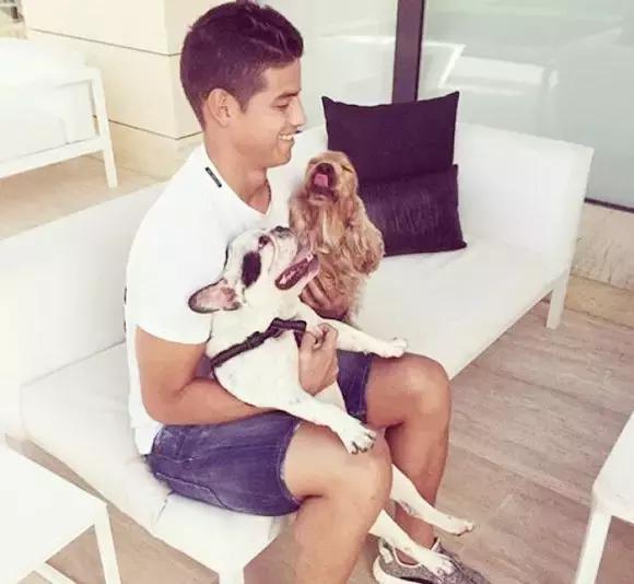 梅西狗狗,c罗和梅西家的顶级恶犬