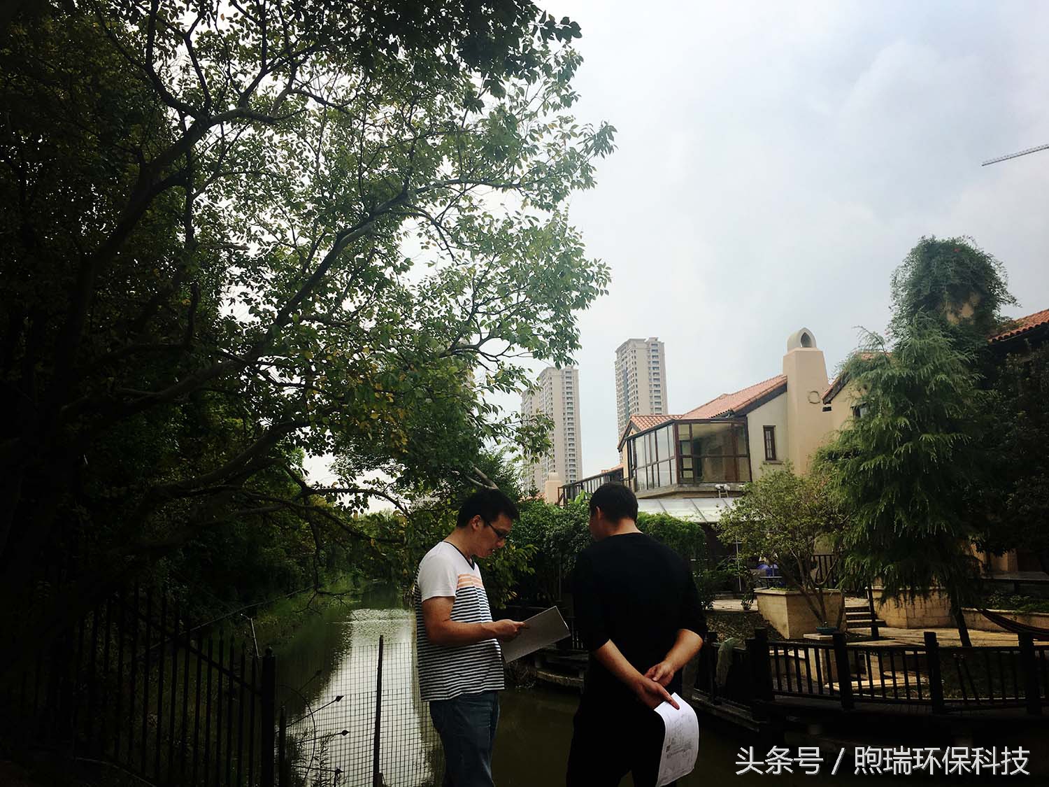 锦鲤鱼池花园庭院,最好看的长方形入户花园锦鲤鱼池