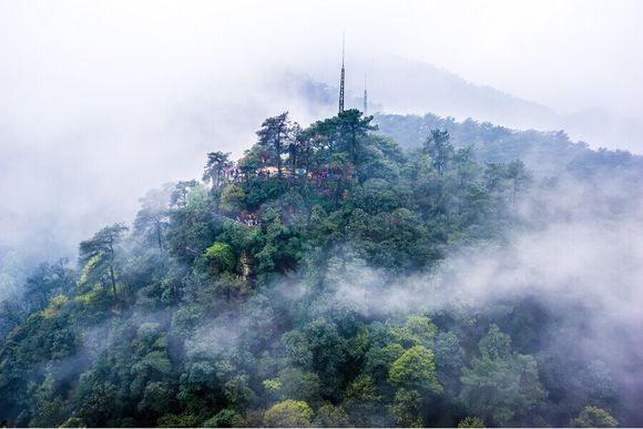 重庆免费景点一览表大全,重庆免费景点合集