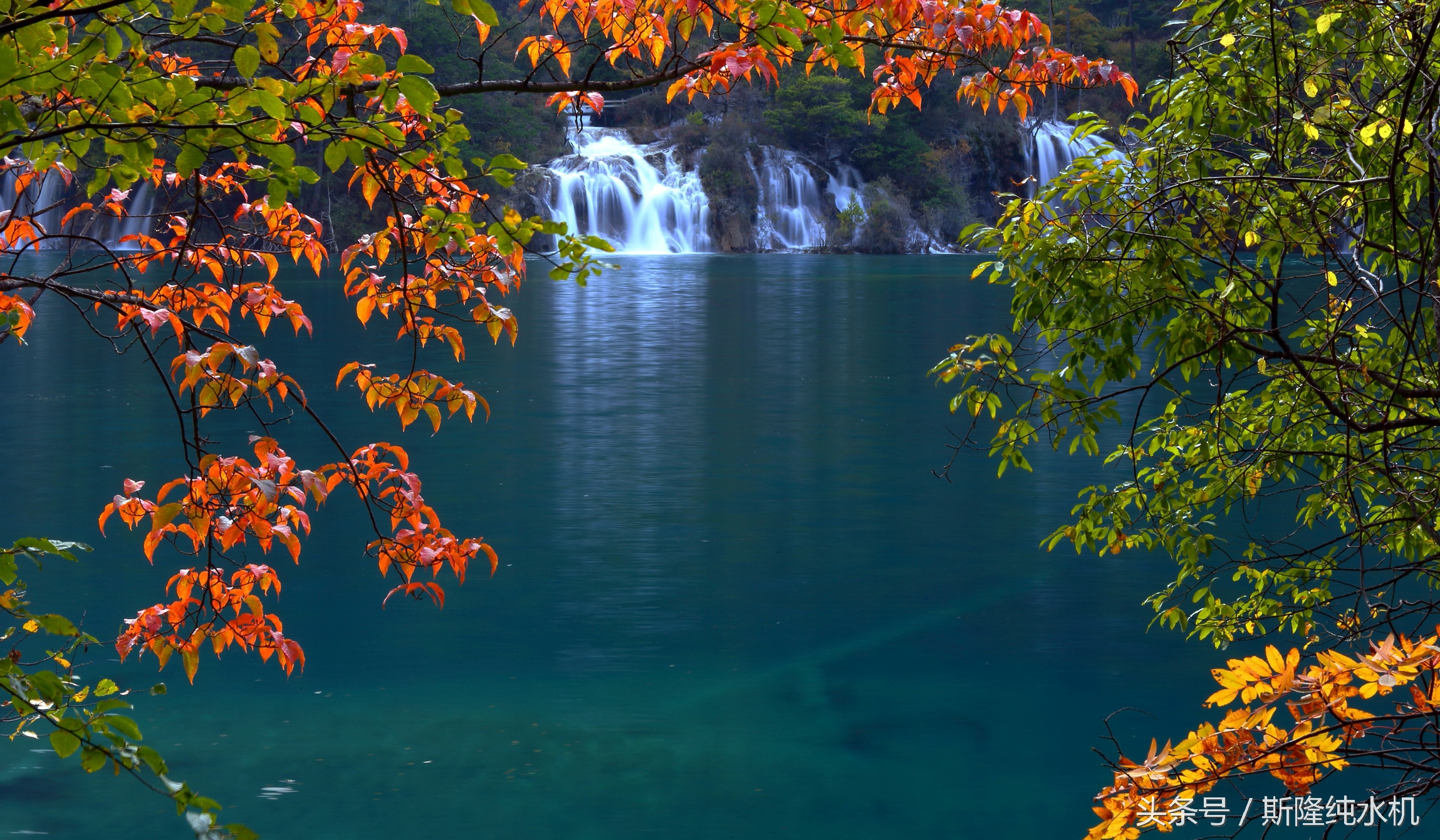 水是什么词,水用一个字怎么形容