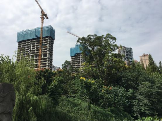 攀成钢改善楼盘,攀成钢商业最新动态