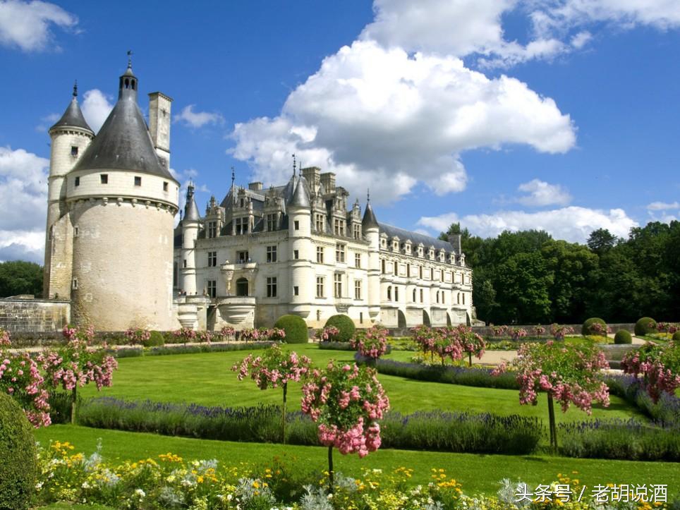 葡萄酒的分级去哪里看,葡萄牙葡萄酒分级体系