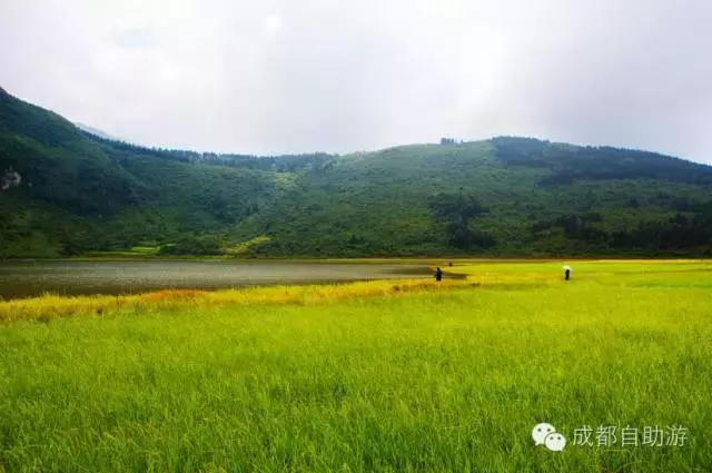 四川哪些天然温泉最好玩,四川小众温泉
