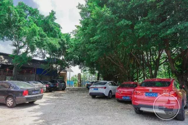 十年一道醉鹅！招央视千里寻访，食神高度赞扬！