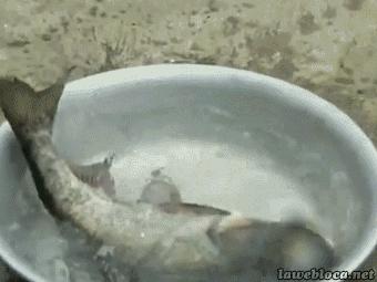 3d效果有什么用处,3d震撼效果电影