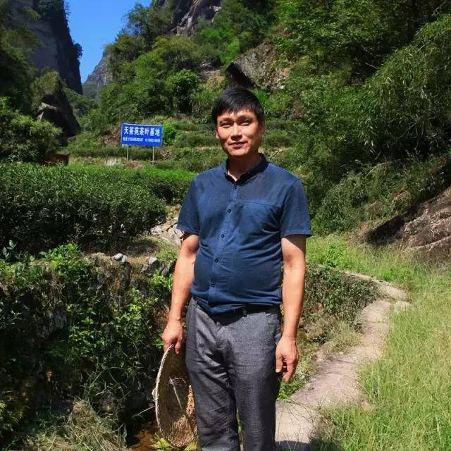 山场主人岩茶价格,山场主人岩茶