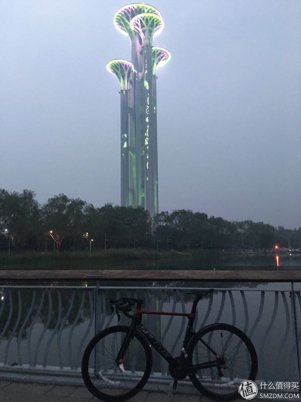 城市入门公路自行车测评,野兽骑行者