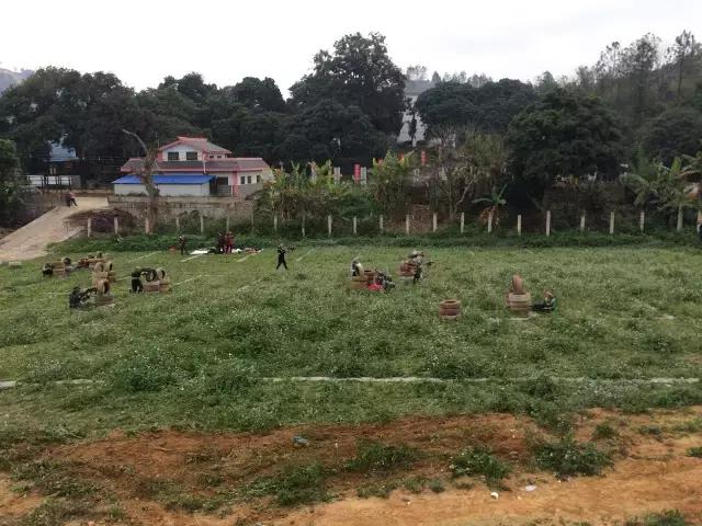 城市套路深我要回农村视频,城市套路深我要回农村dj