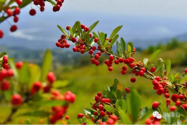 离金堂县150公里左右的景点,成都周边旅游景点大全金堂