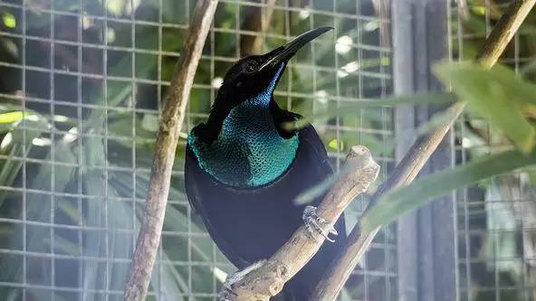 朋友圈发海边泳衣照好不好,朋友圈晒沙滩泳装