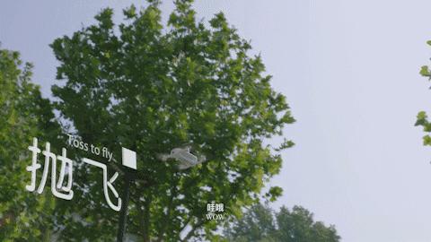 最小型无人机拍照,世界上最小航拍无人机