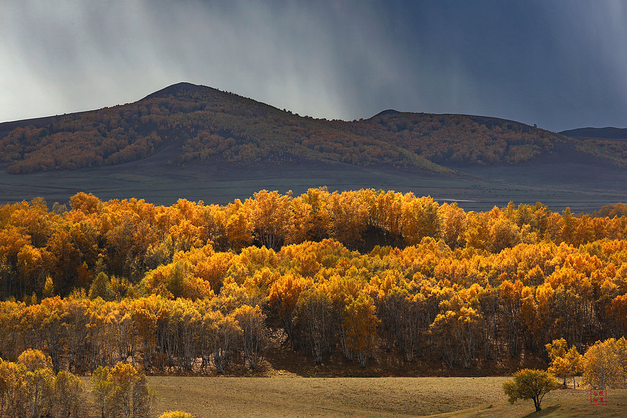 坝上草原雪景航拍,坝上草原秋景美图
