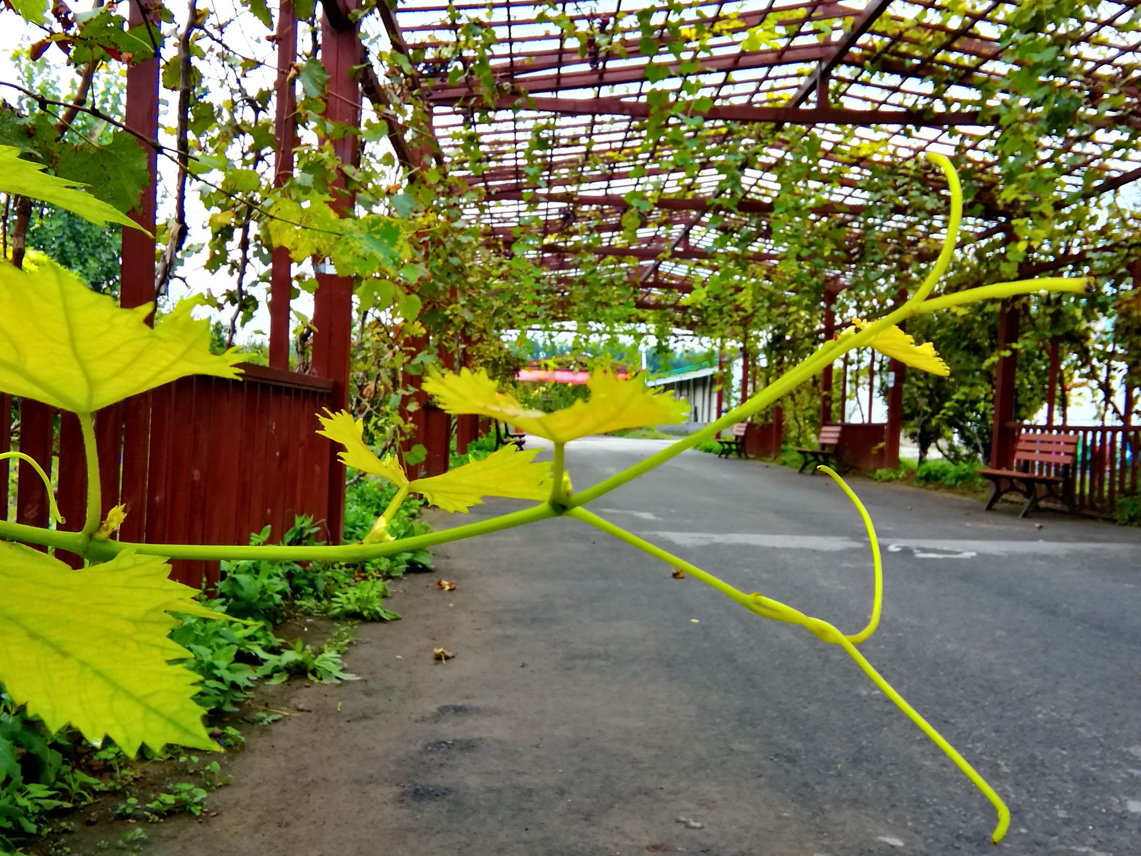 华为平板m3看视频卡吗,华为平板m3揽阅10寸