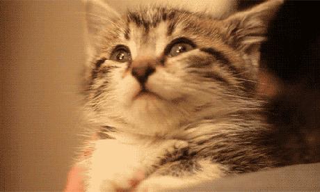 知乎神回复怎么找到,知乎神一般的回答