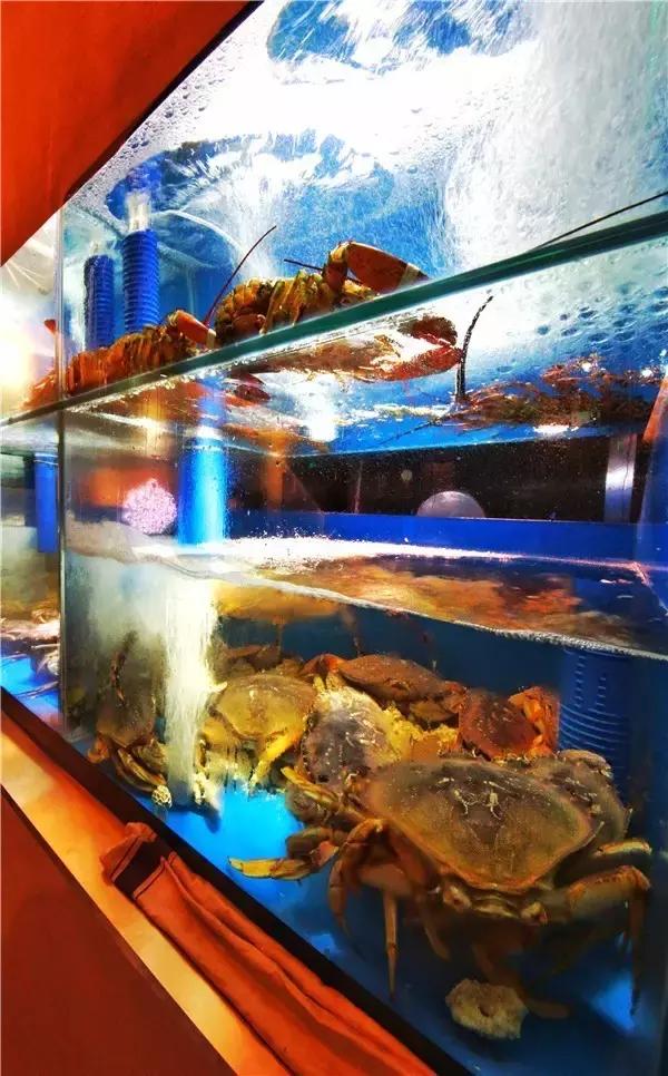 国庆去北京旅游机票多少钱,国庆去东南亚如何便宜买机票