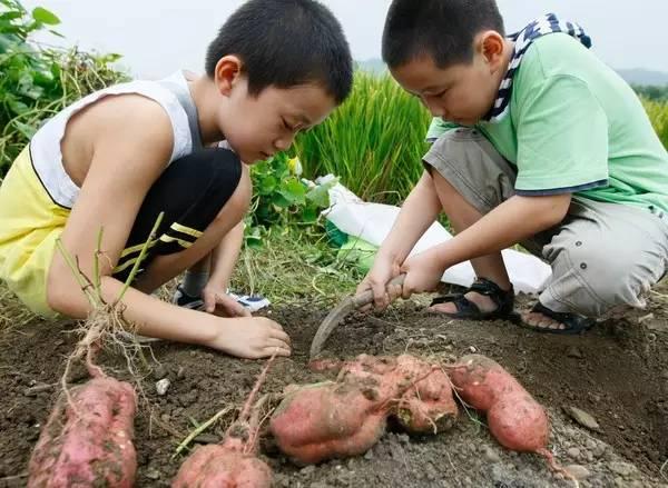 合肥市国庆期间有哪些亮点,合肥国庆七天怎么安排