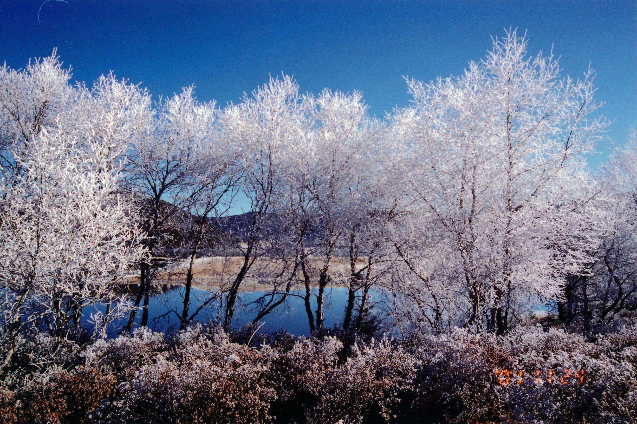 到香格里拉可以品尝到什么美味,香格里拉十大必吃美食